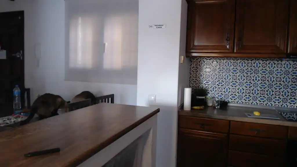 Annpearl - Showup Hot Show Video - 2025 02-05 19:58:30